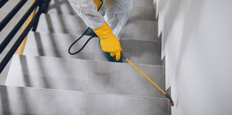 Apartman ve Site Yönetimleri İçin Böcek İlaçlama Rehberi