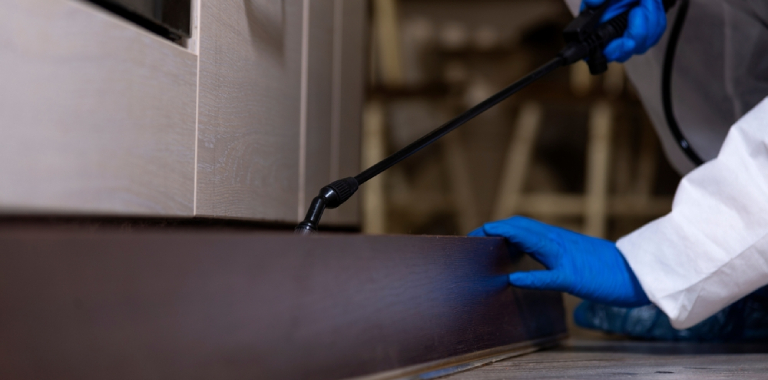 Böcek İlaçlama Fiyatlarını Etkileyen 7 Önemli Faktör