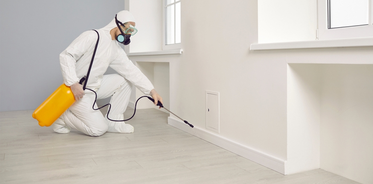 Böcek İlaçlama Öncesi ve Sonrası Dikkat Edilmesi Gerekenler